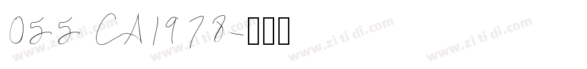 055 CA1978字体转换